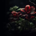 Two red flowers with frosted edges in a dark, moody garden setting.